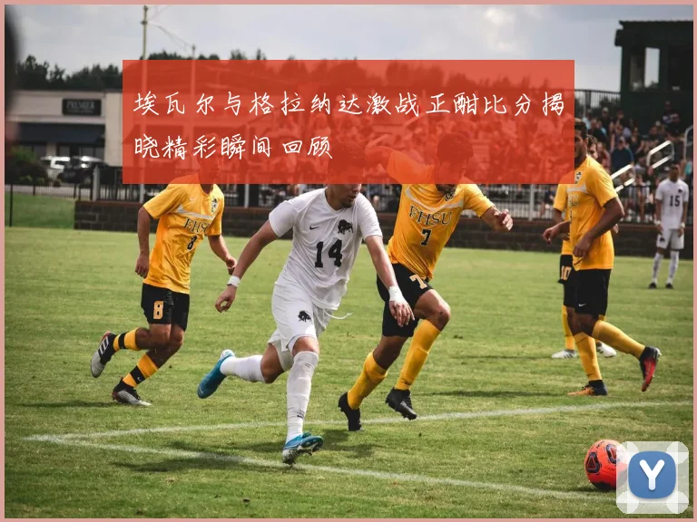 埃瓦尔与格拉纳达激战正酣比分揭晓精彩瞬间回顾